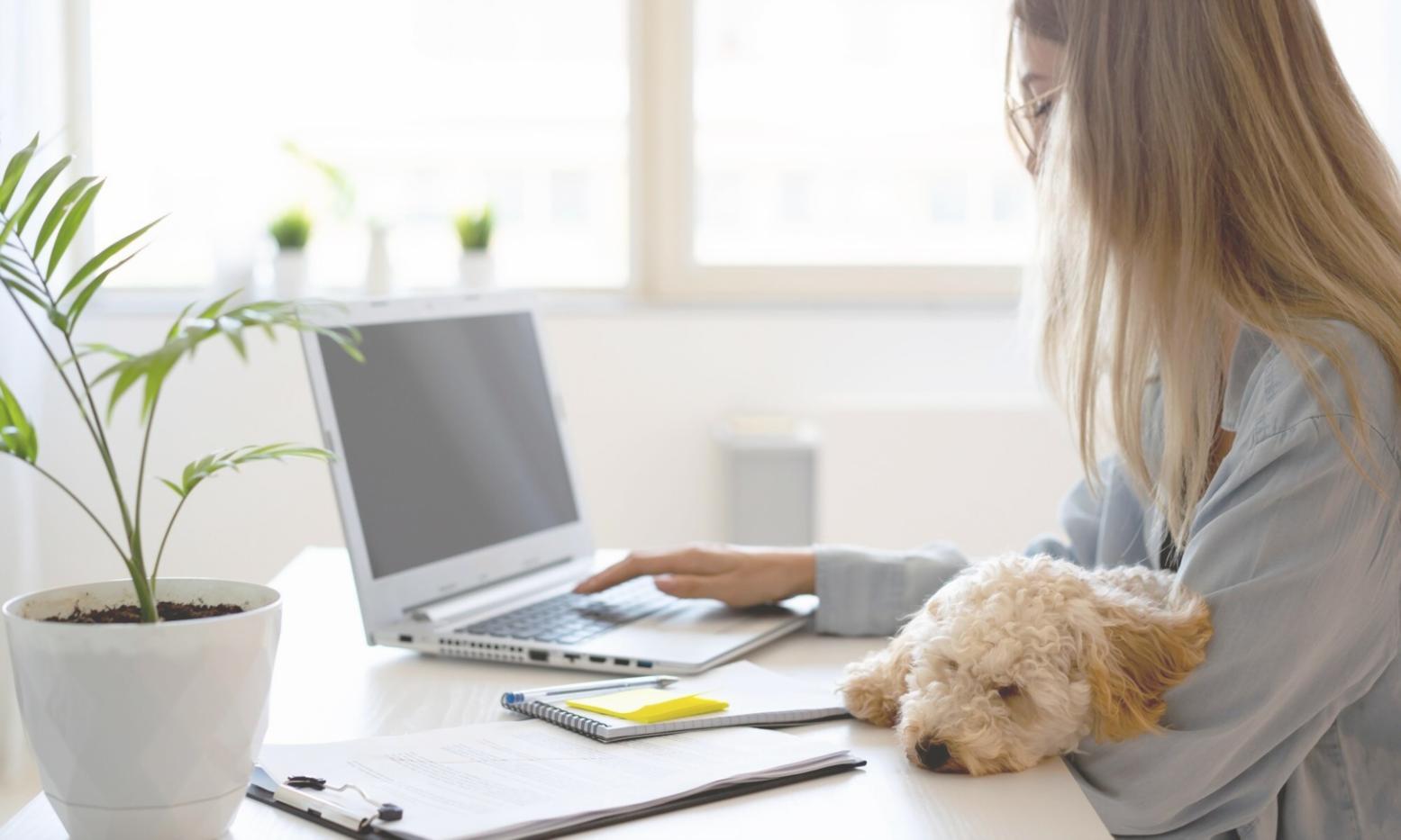 Financial analyst conducting detailed market analysis with multiple data sources
